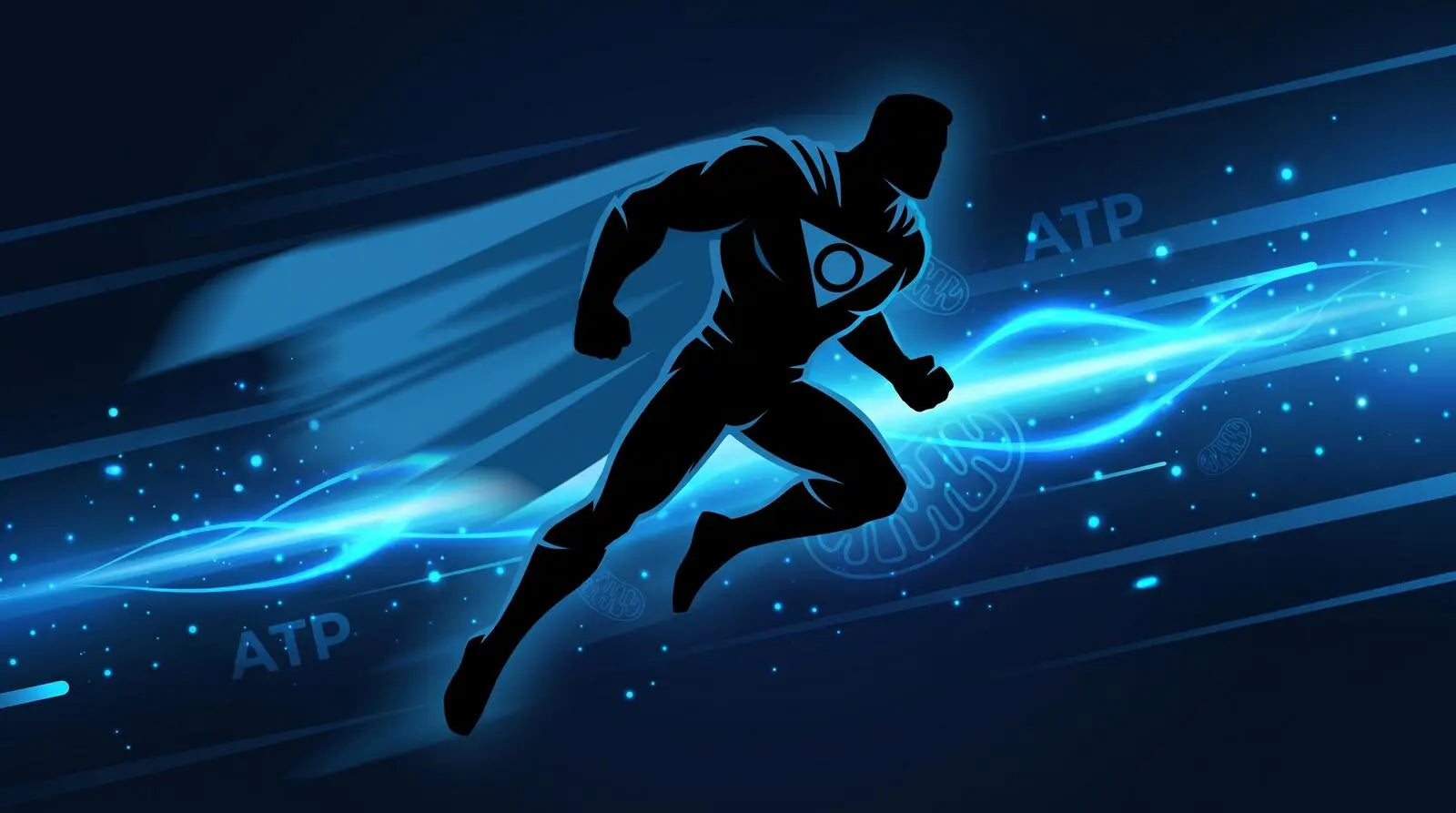 Supplements for Energy and Stamina: Men's UK Guide (2026) — Blue Power